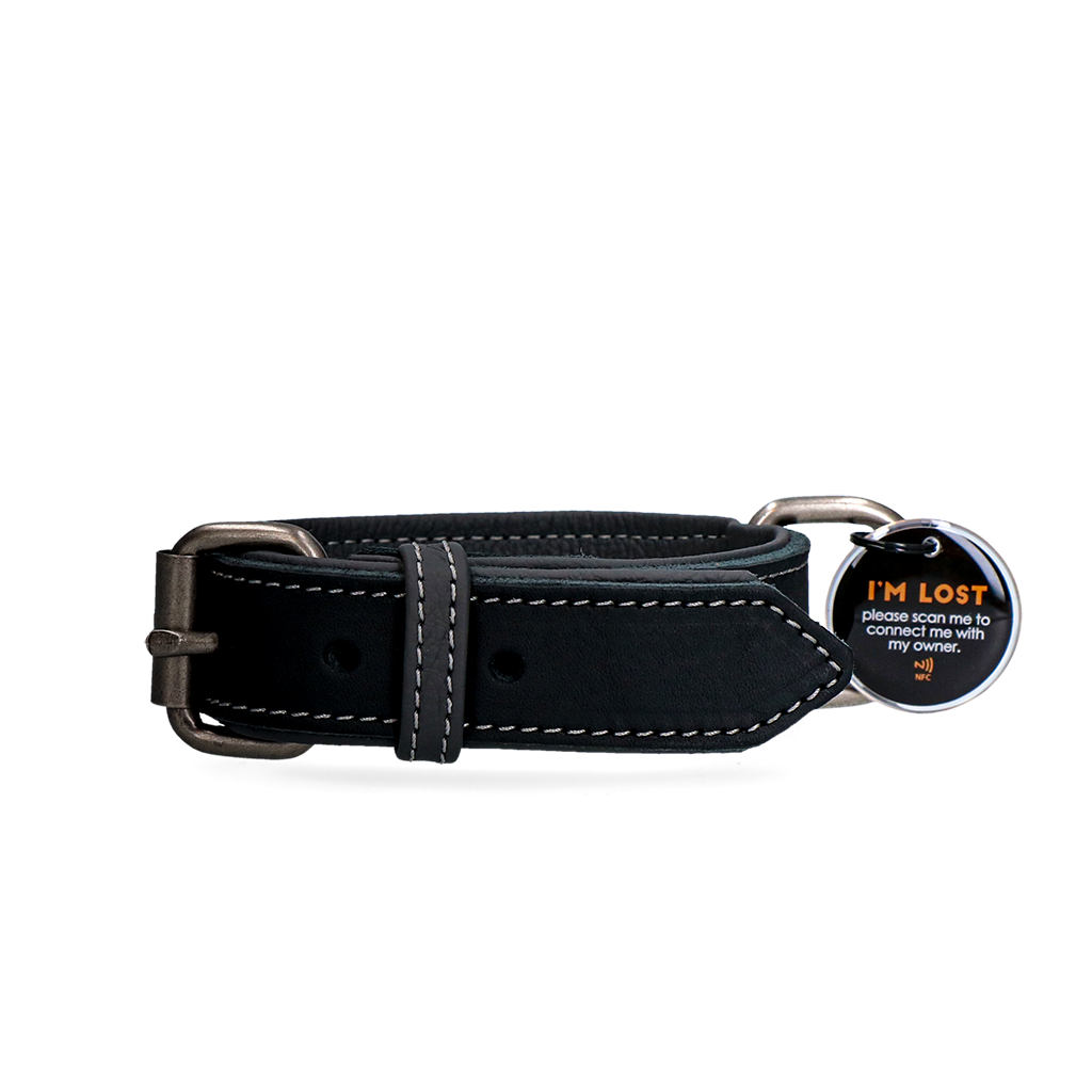 Spotted! Pro Leren Halsband Zwart 2,5 x 45 cm