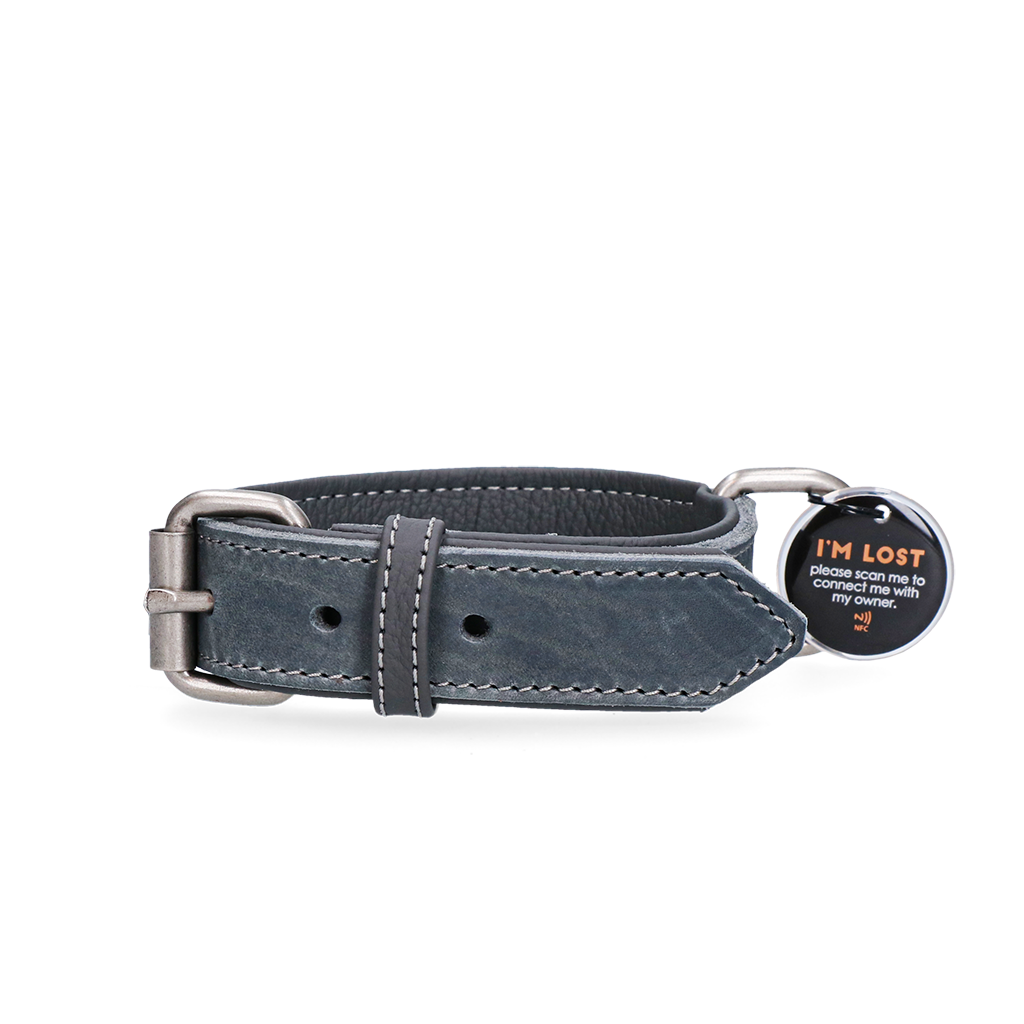 Spotted! Pro Leren Halsband Grijs 2,5 x 45 cm