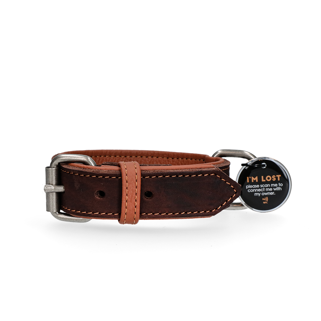 Spotted! Pro Leren Halsband Bruin 3 x 60 cm