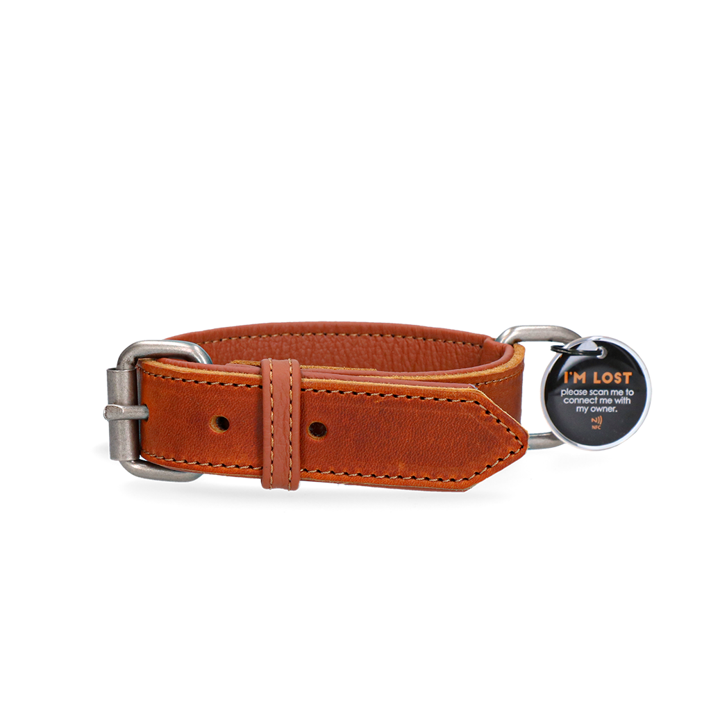 Spotted! Pro Leren Halsband Cognac 3 x 55 cm