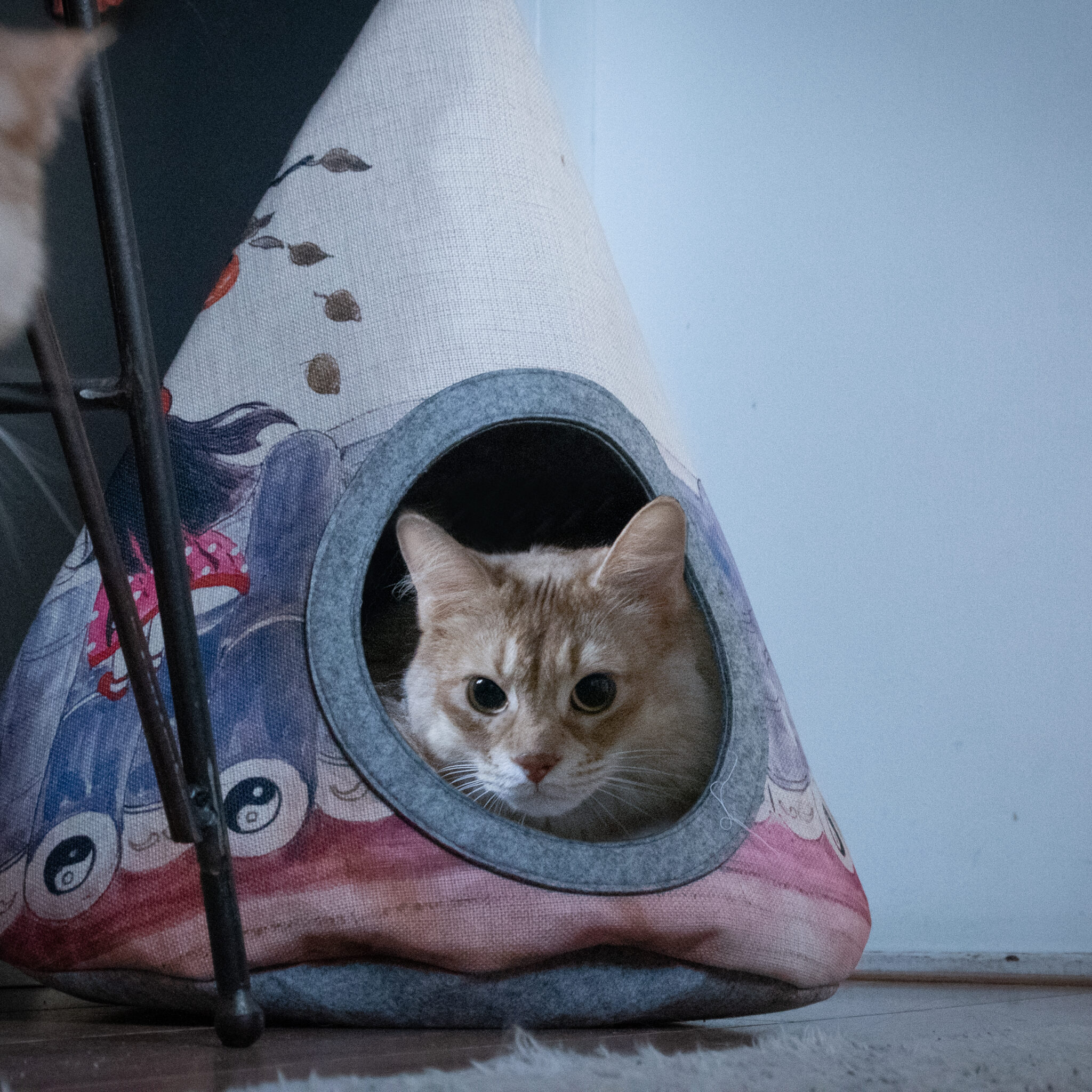 Alternative view of Takara Tipi Yin Yang