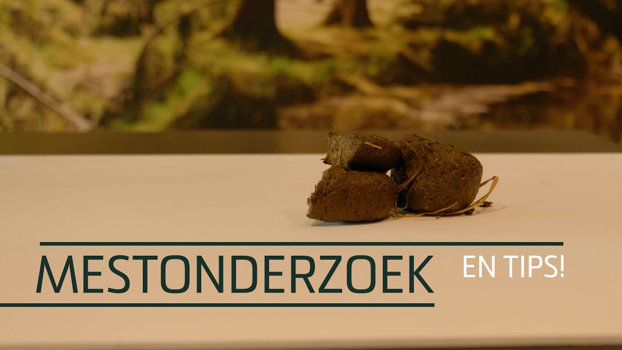 Alternative view of Excellent Horse Sand-Away 6 x 200 g