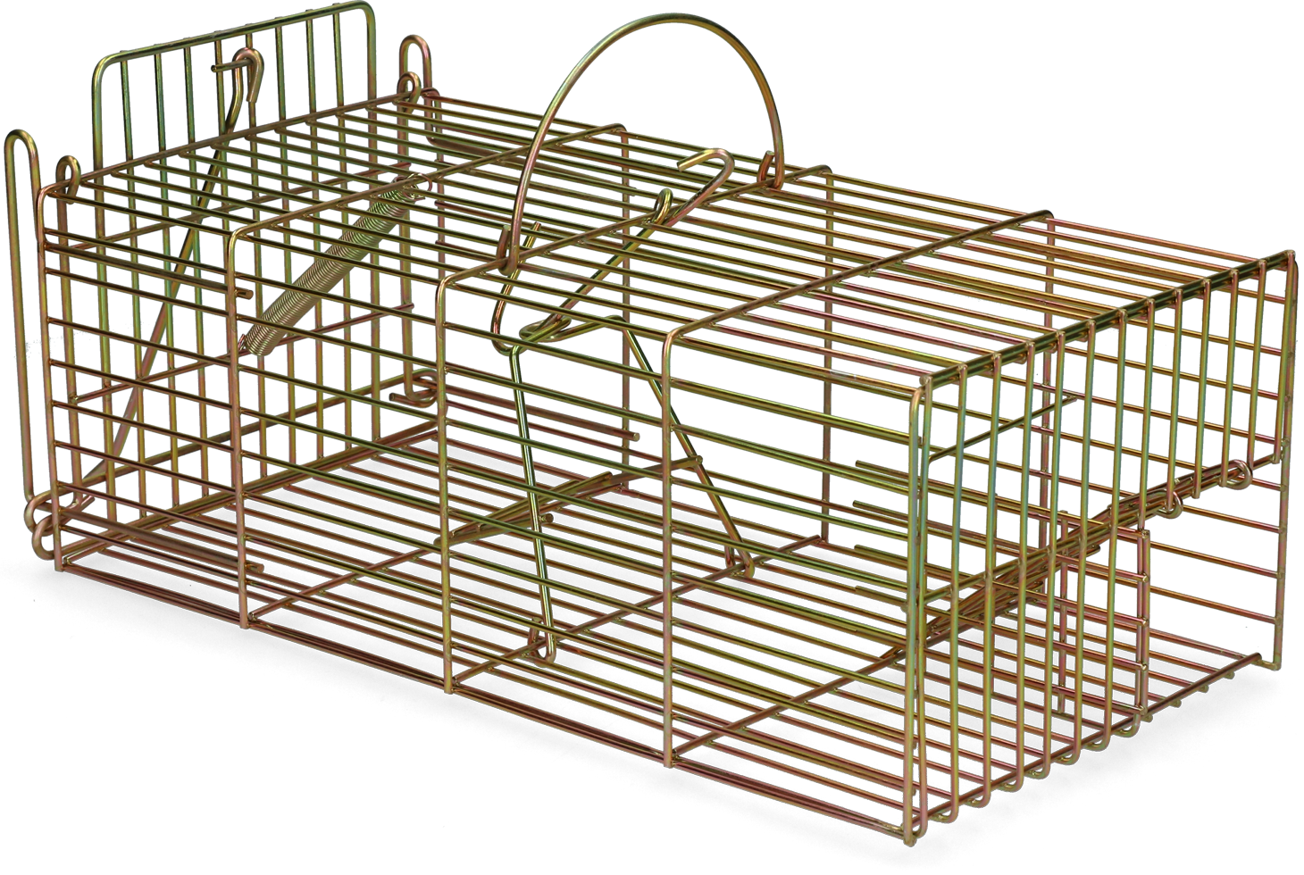 Alternative view of Inloopval rat levend massa