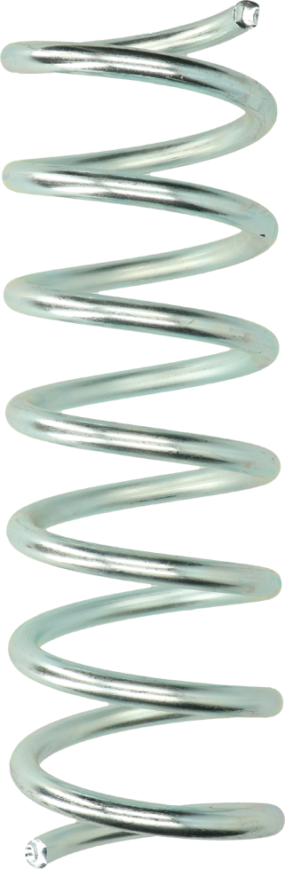 Vink Veeborstel veer los