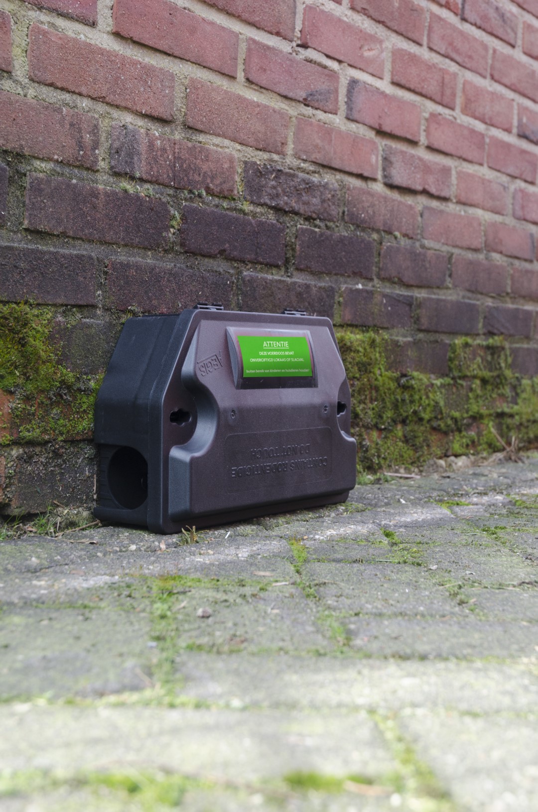 Alternative view of Aegis Mini Rat Voerdoos incl. sleutel