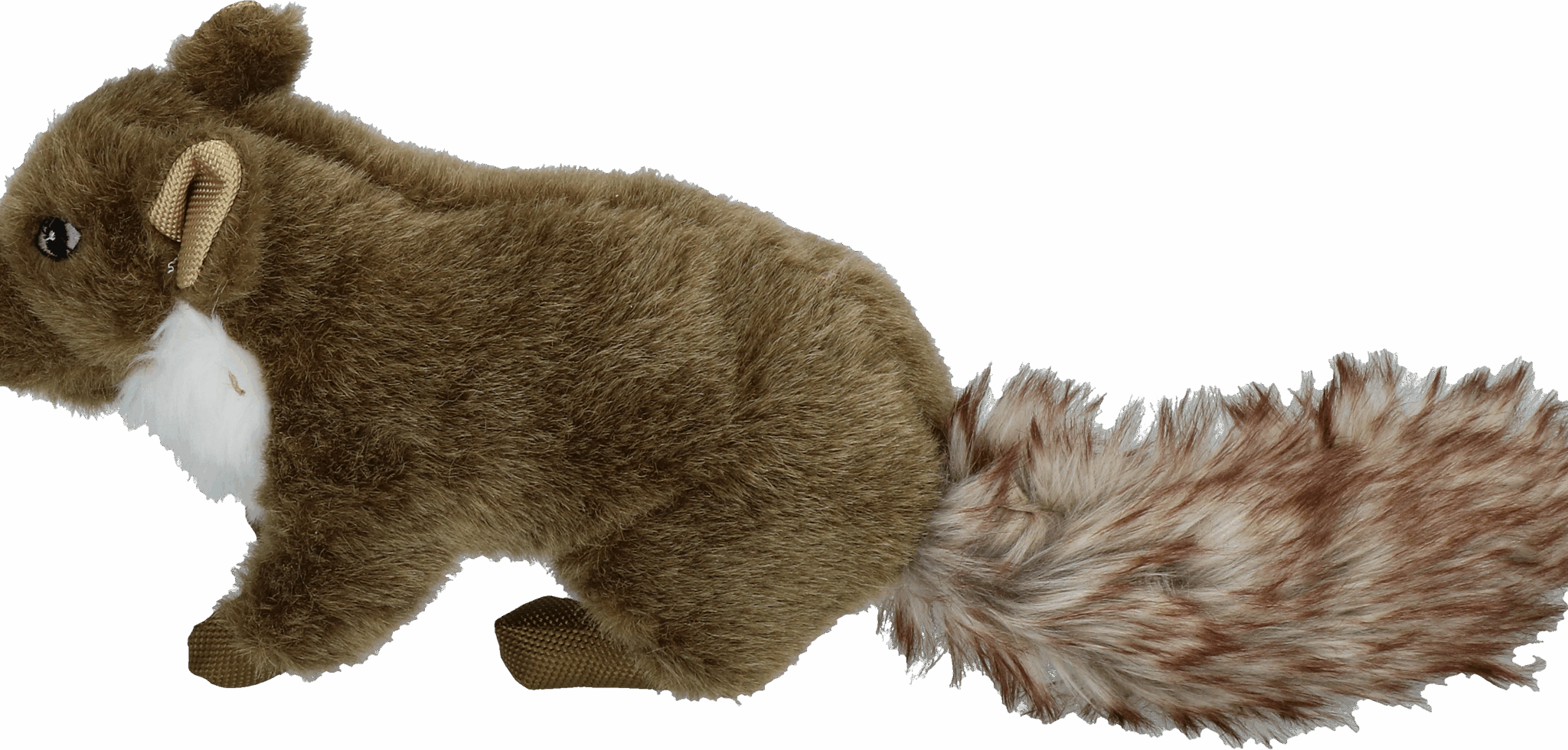 Wild Life Dog Marter