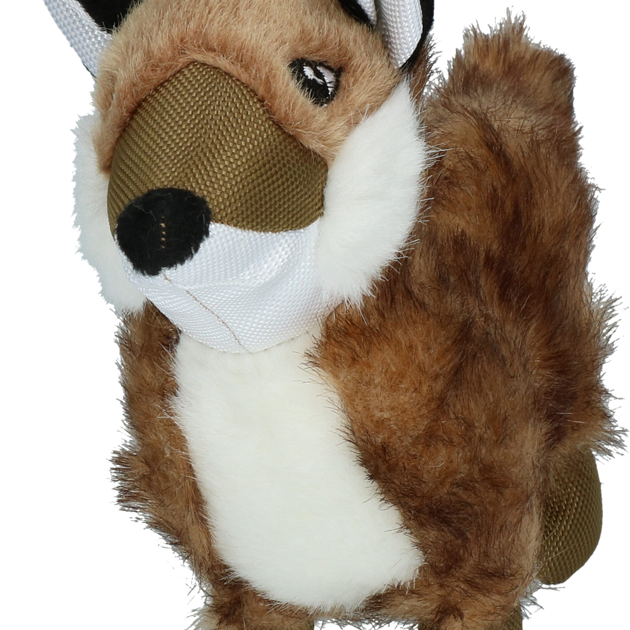 Alternative view of Wild Life Dog Vos