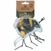Wild Life Cat Hommel