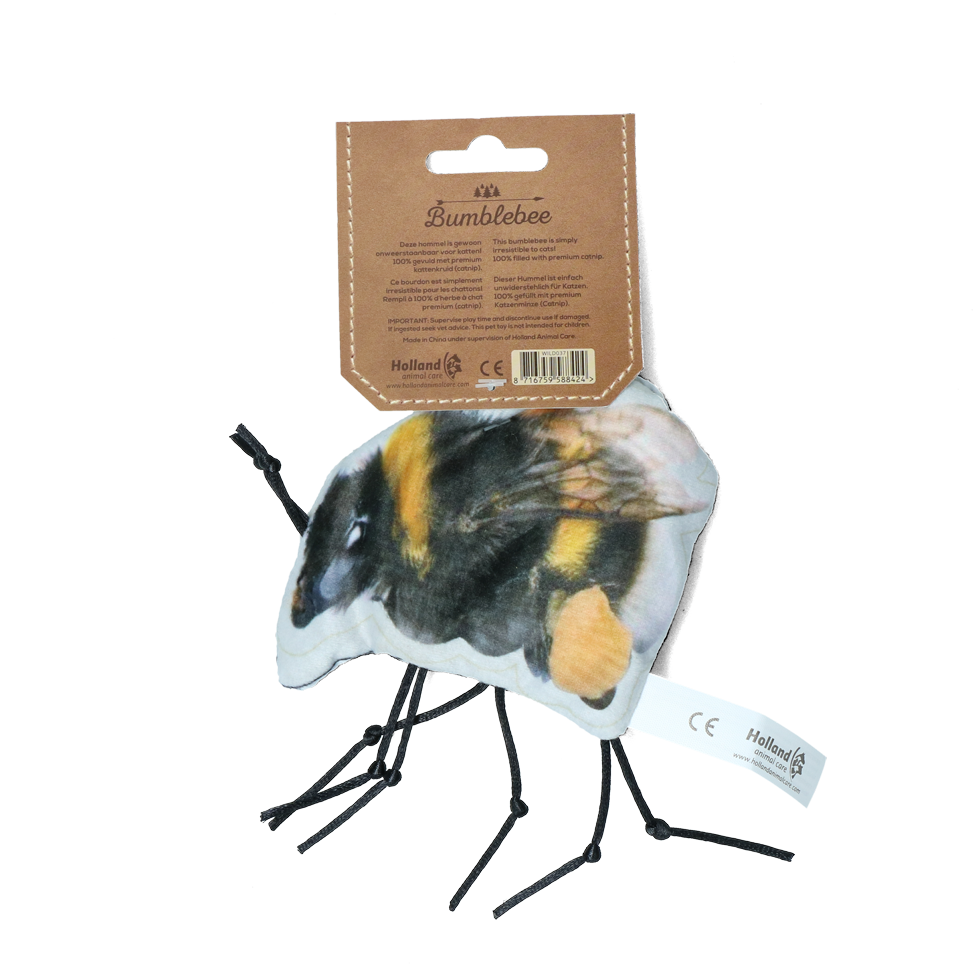 Alternative view of Wild Life Cat Hommel