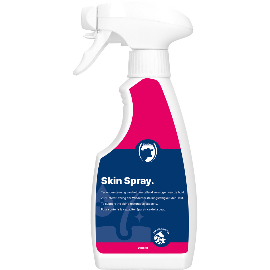 Excellent Skin Spray Blank