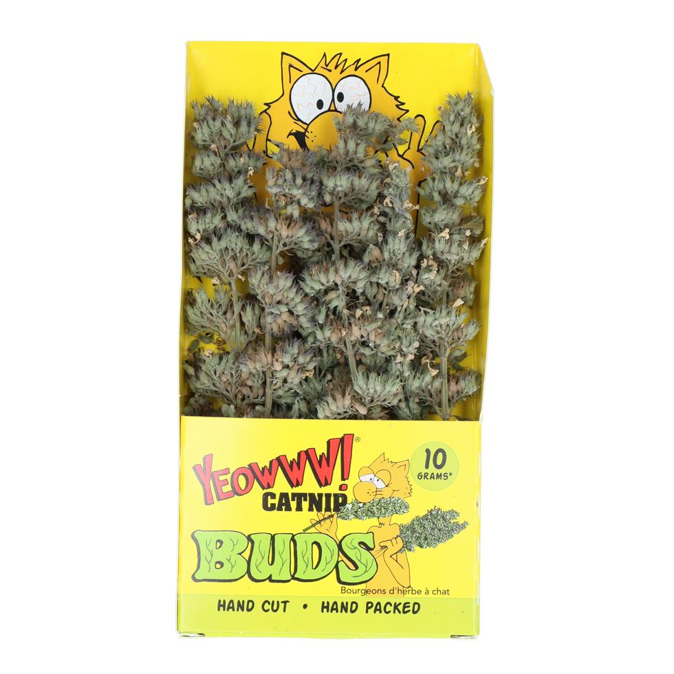 Alternative view of Yeowww! Catnip 1 Oz (28 gr)