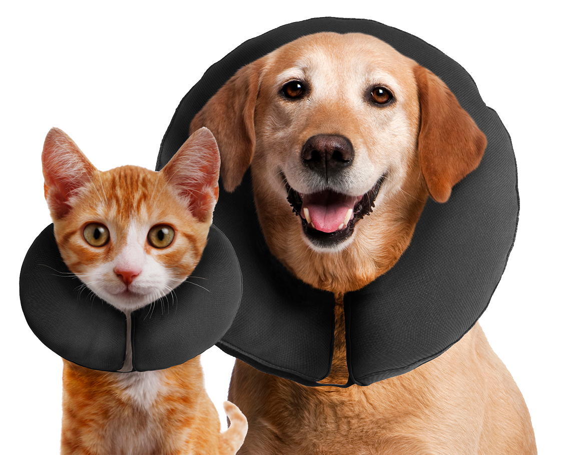 Alternative view of Zenpet ProCollar M