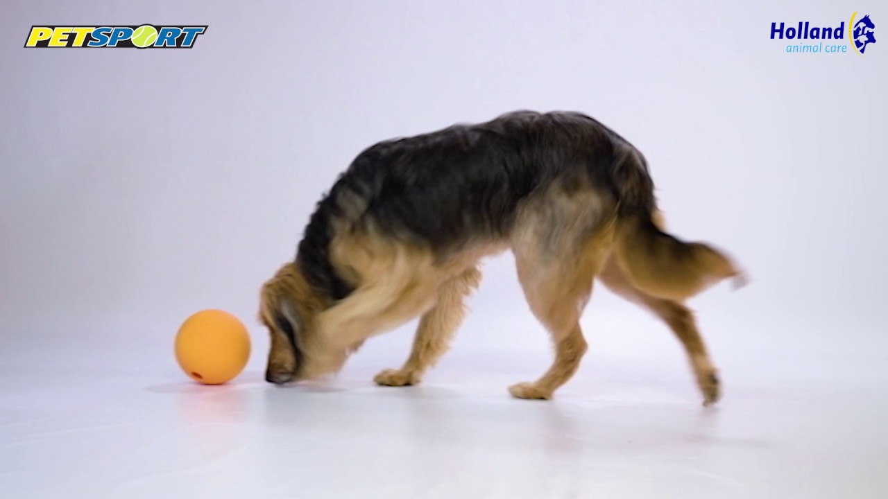 Alternative view of Petsport Kingpin Kibbler Zwart