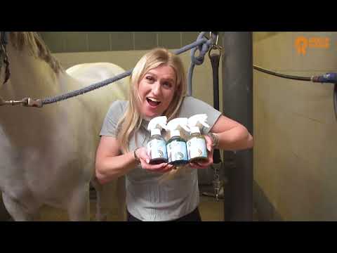 Alternative view of Package Deal Paardenpraat TV