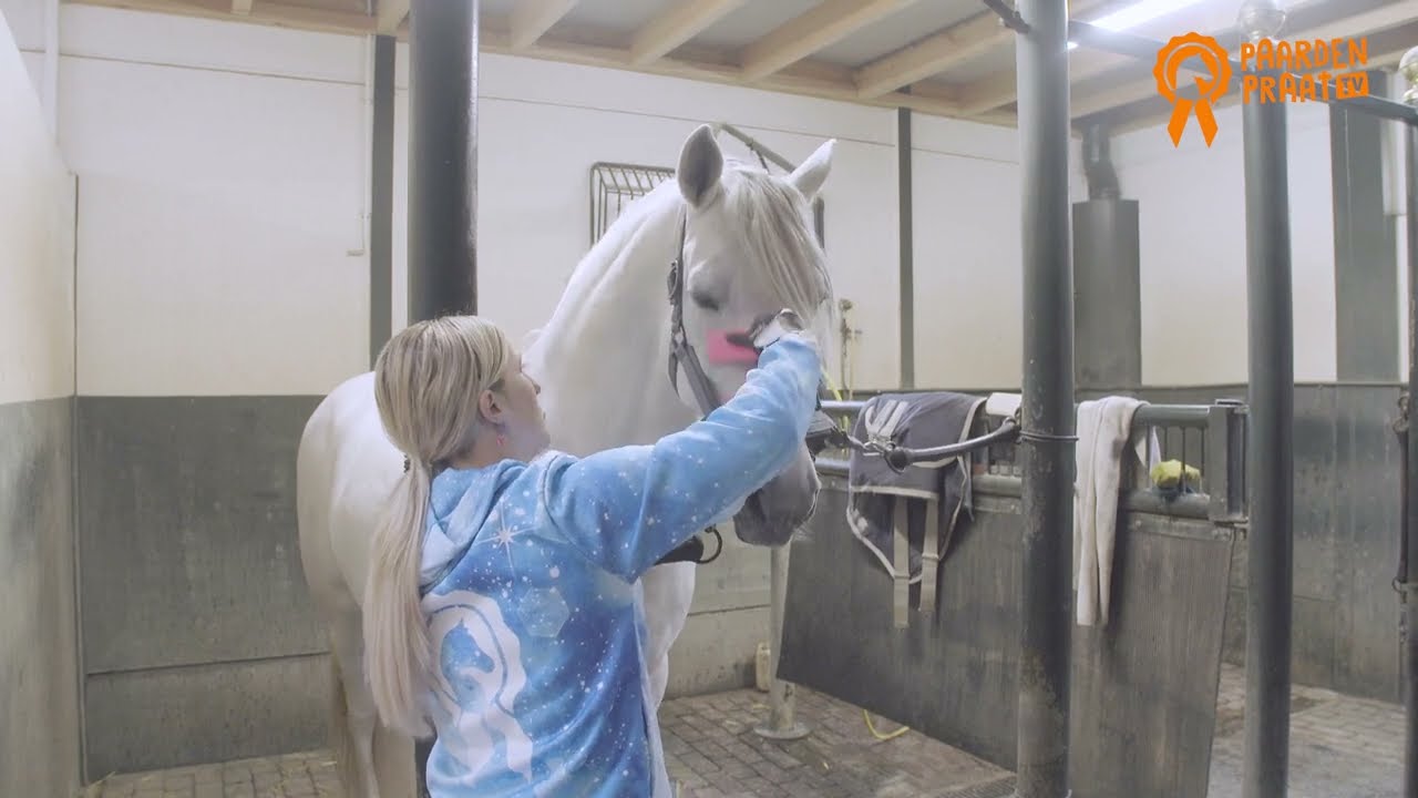 Alternative view of Paardenpraat Grooming Brush Roze M