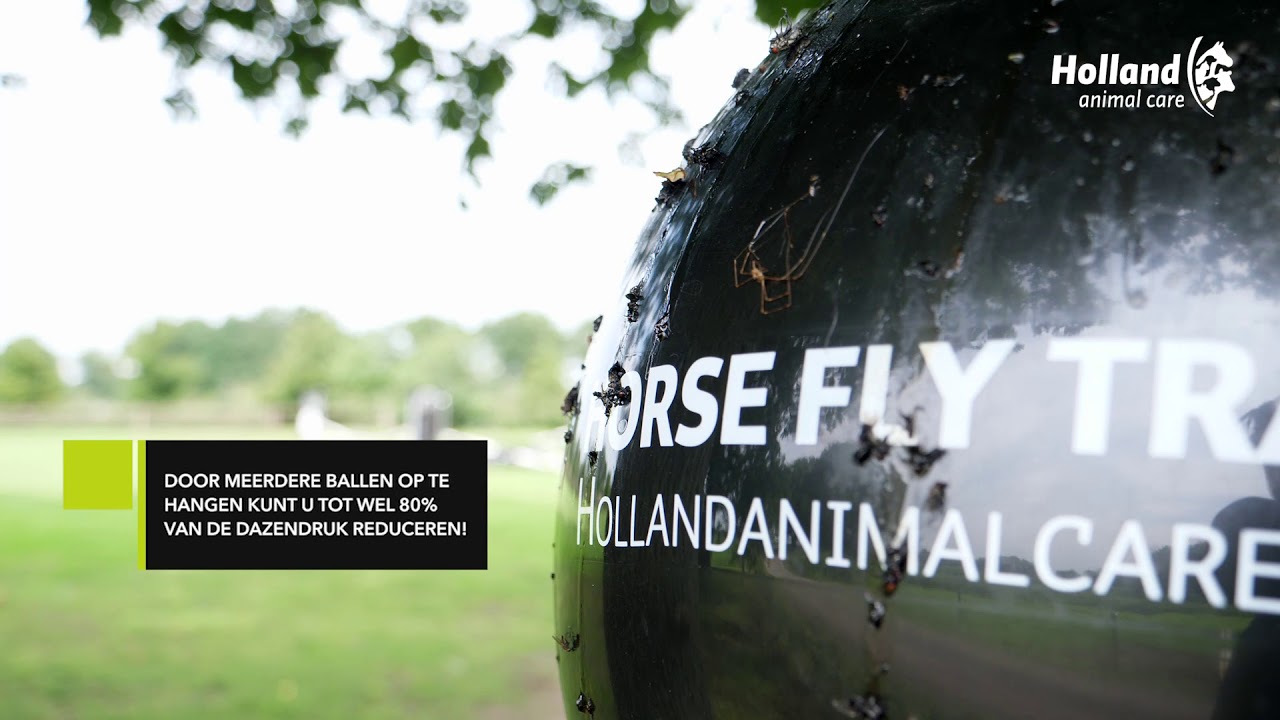 Alternative view of Loer Dazenval Bal