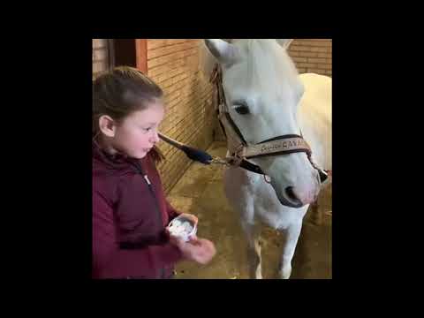 Alternative view of Lucky Horse Unicorn Horse Treats