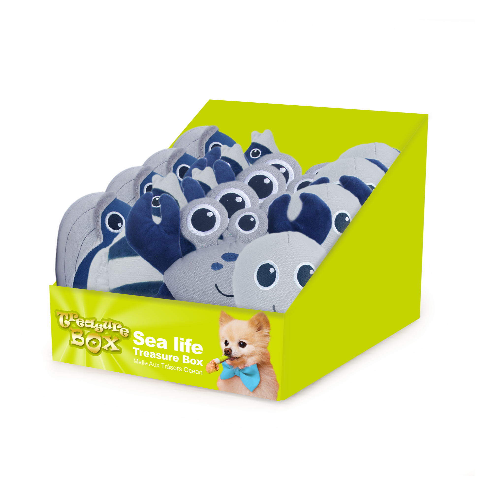 AFP Treasure Box Sea Life