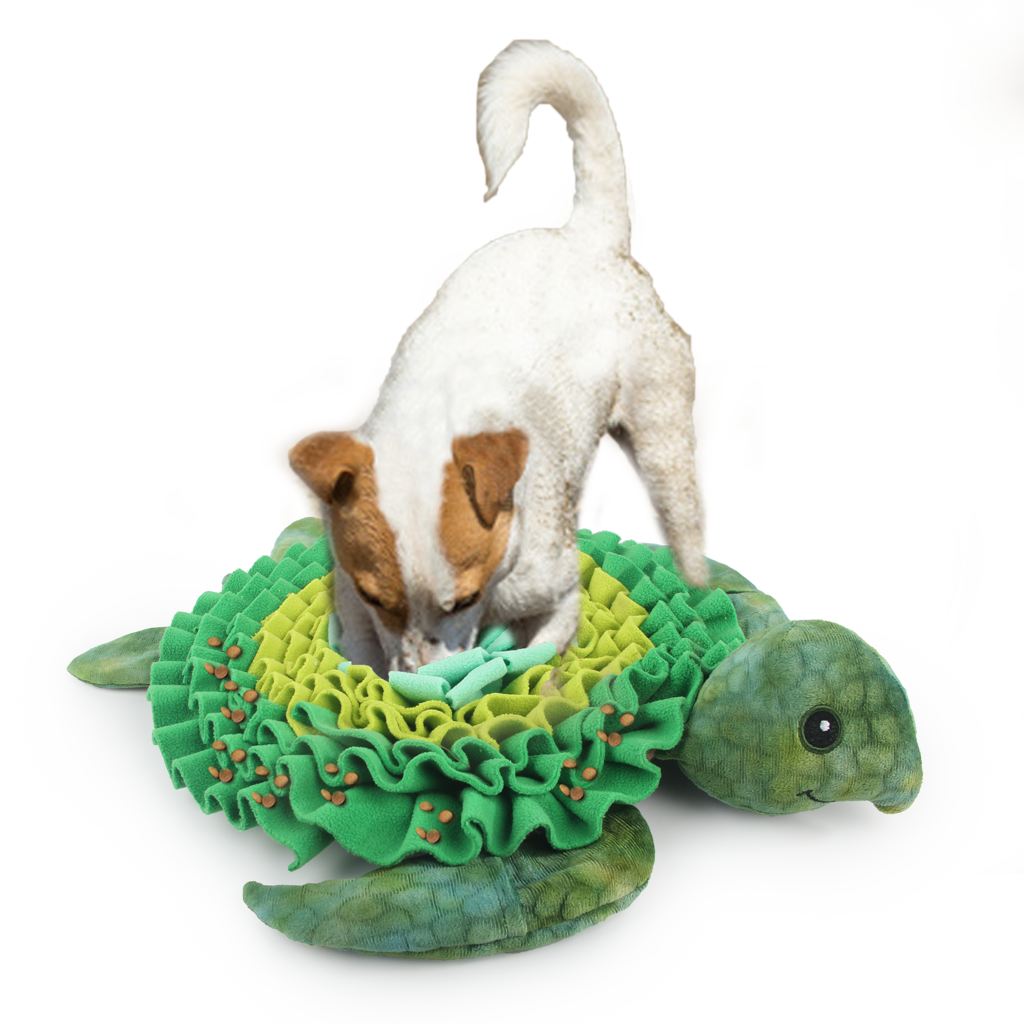 Alternative view of AFP  Dig It - Treat Mat Zeeschildpad