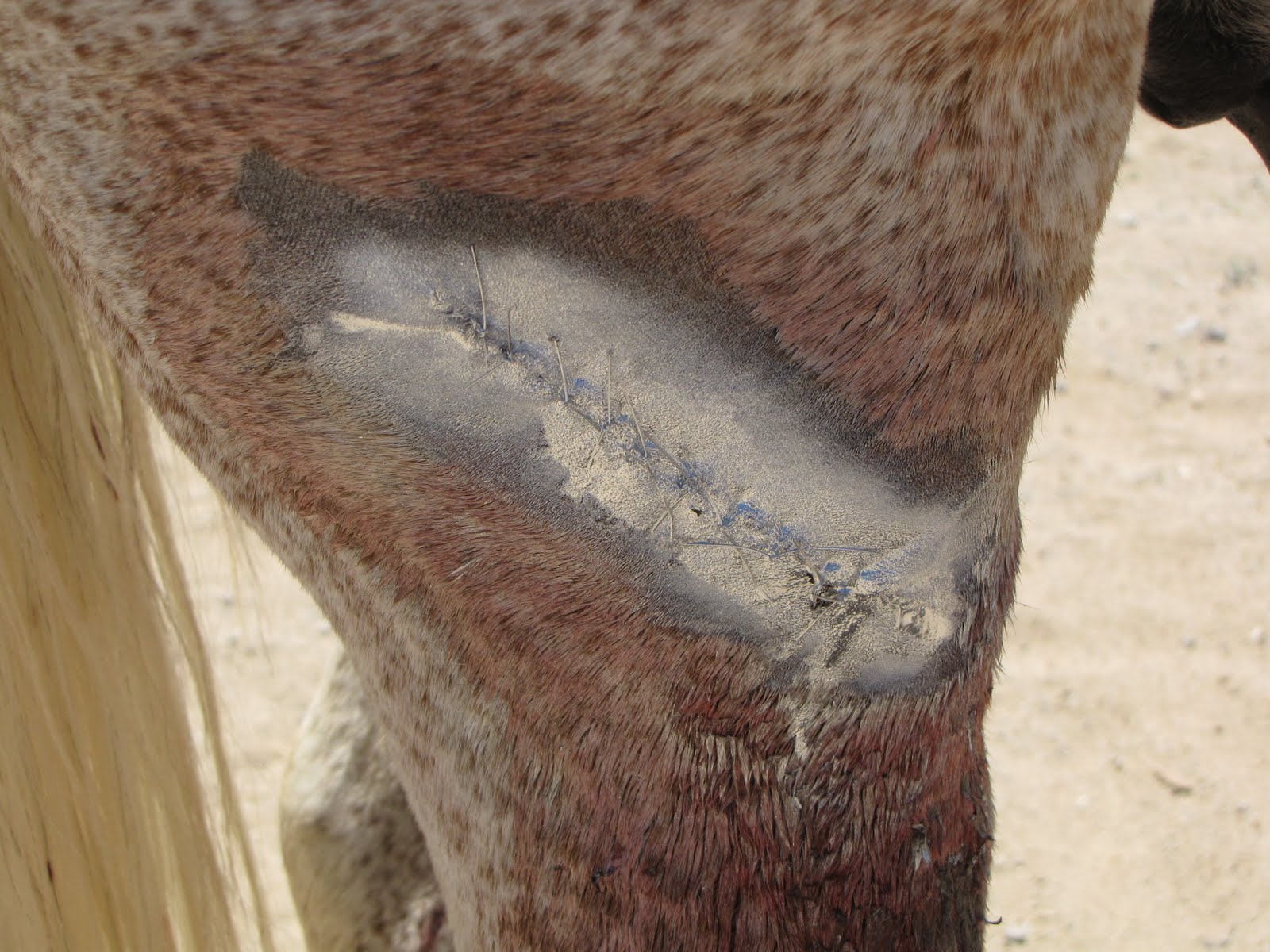 Alternative view of Excellent Aluminium Spray