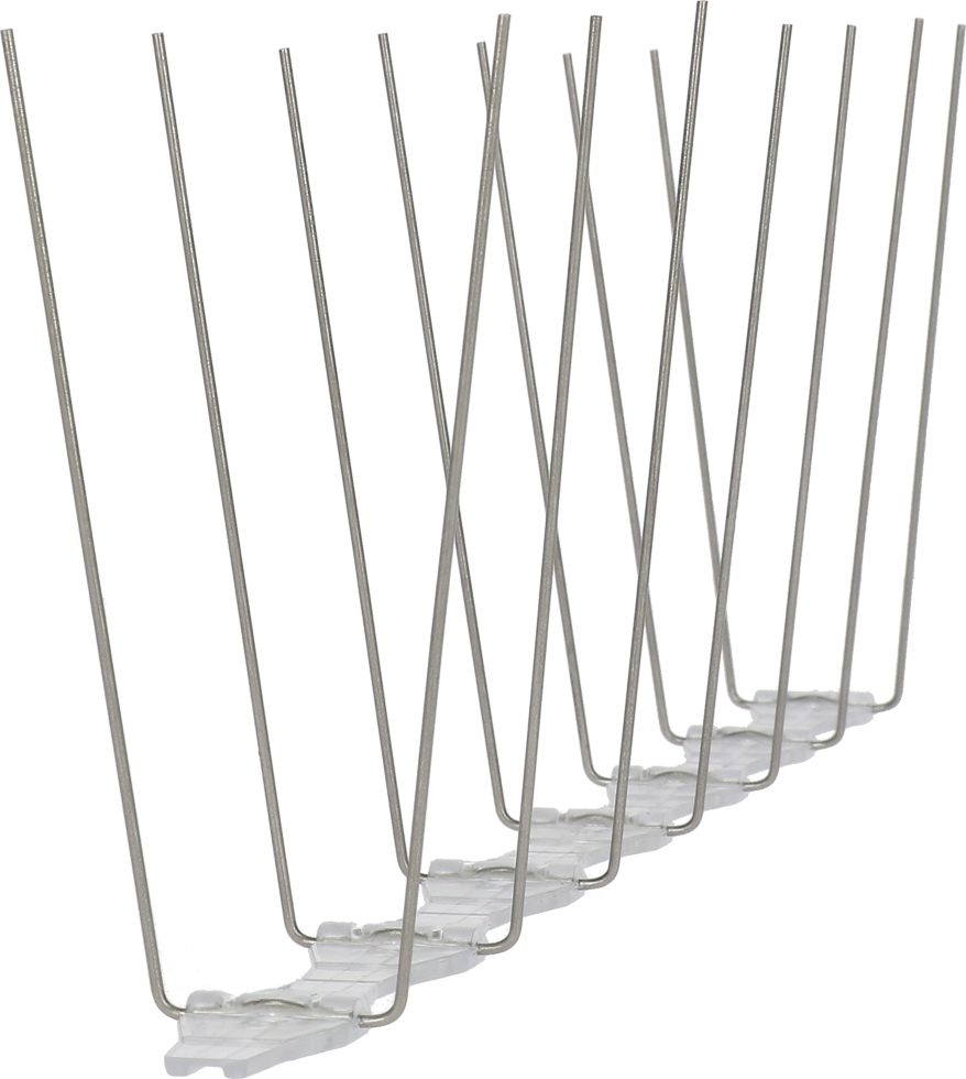 Avipoint Weringspinnen Duif P14