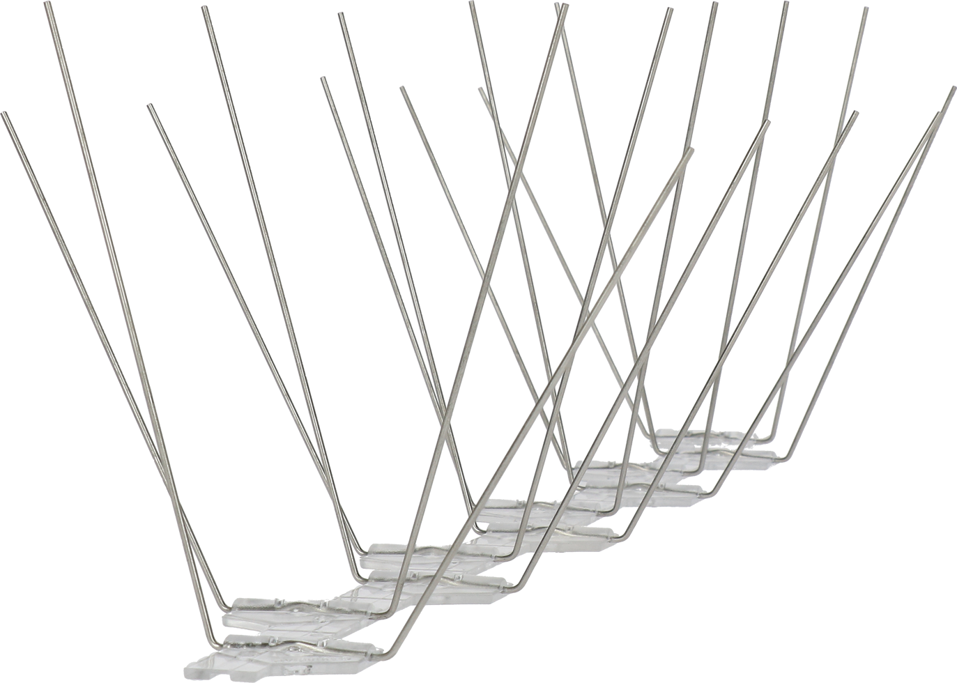 Avipoint Weringspinnen Duif P20