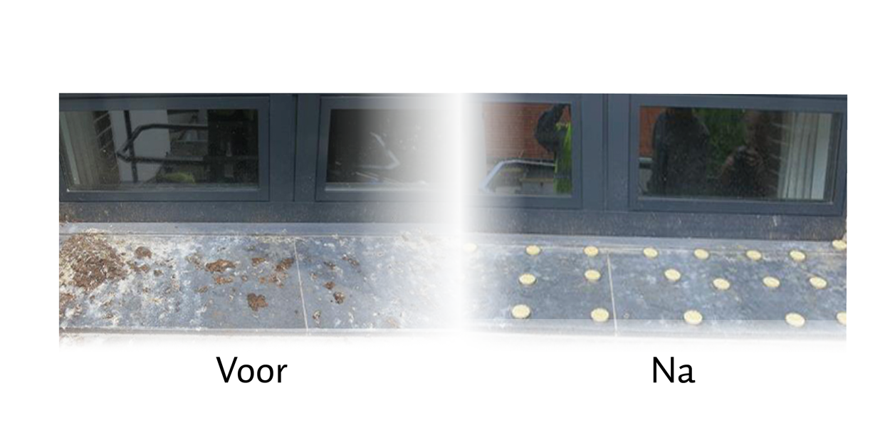 Alternative view of Bird Free