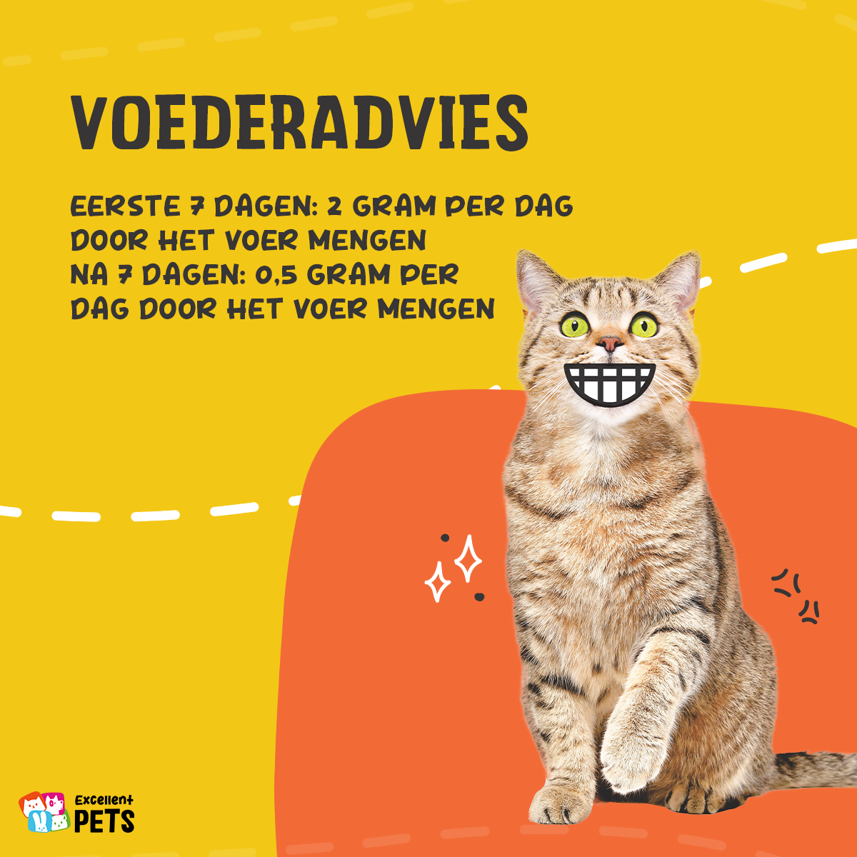 Alternative view of Excellent Pets L-Lysine 100 g