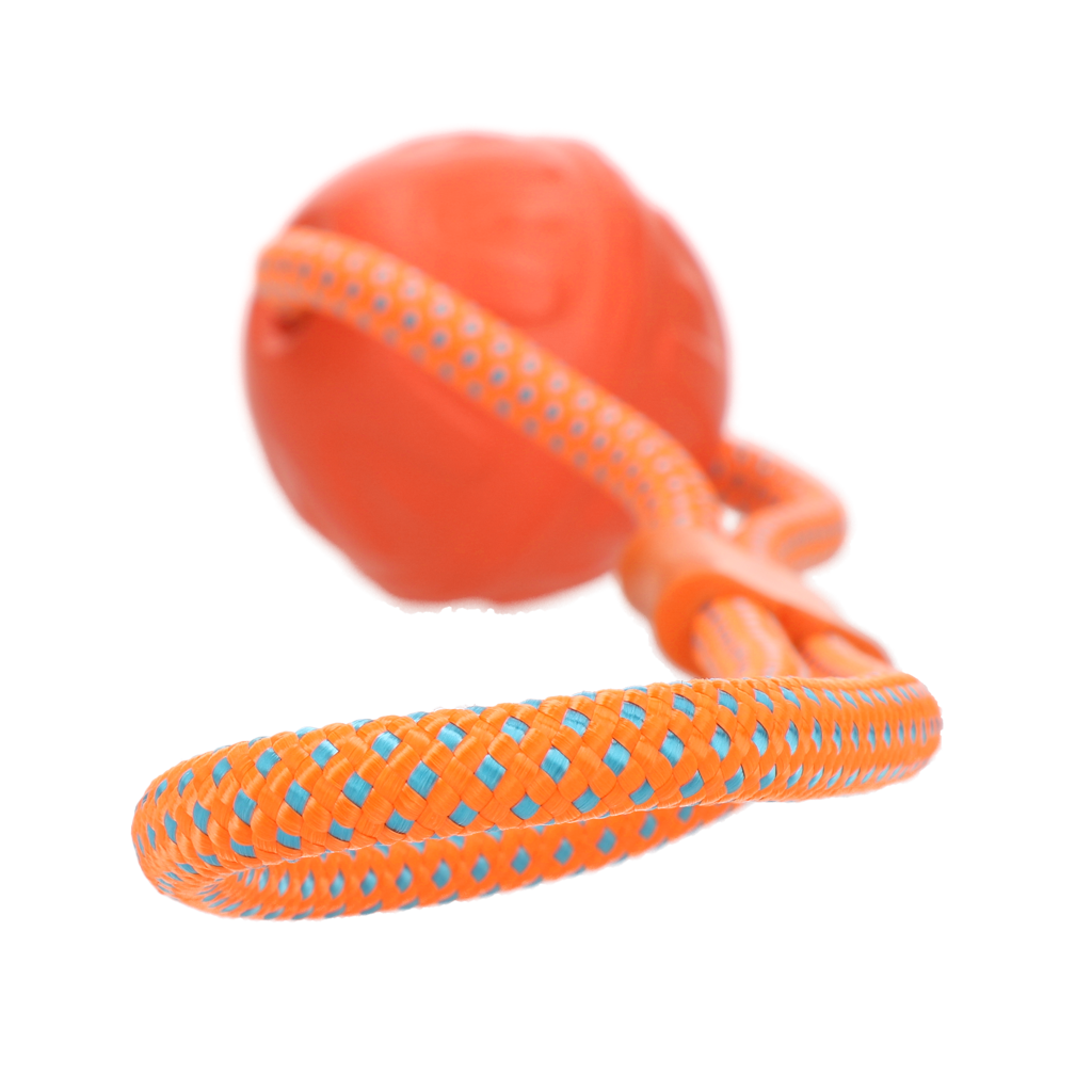 Alternative view of Dog Comets Vortex Loop Oranje