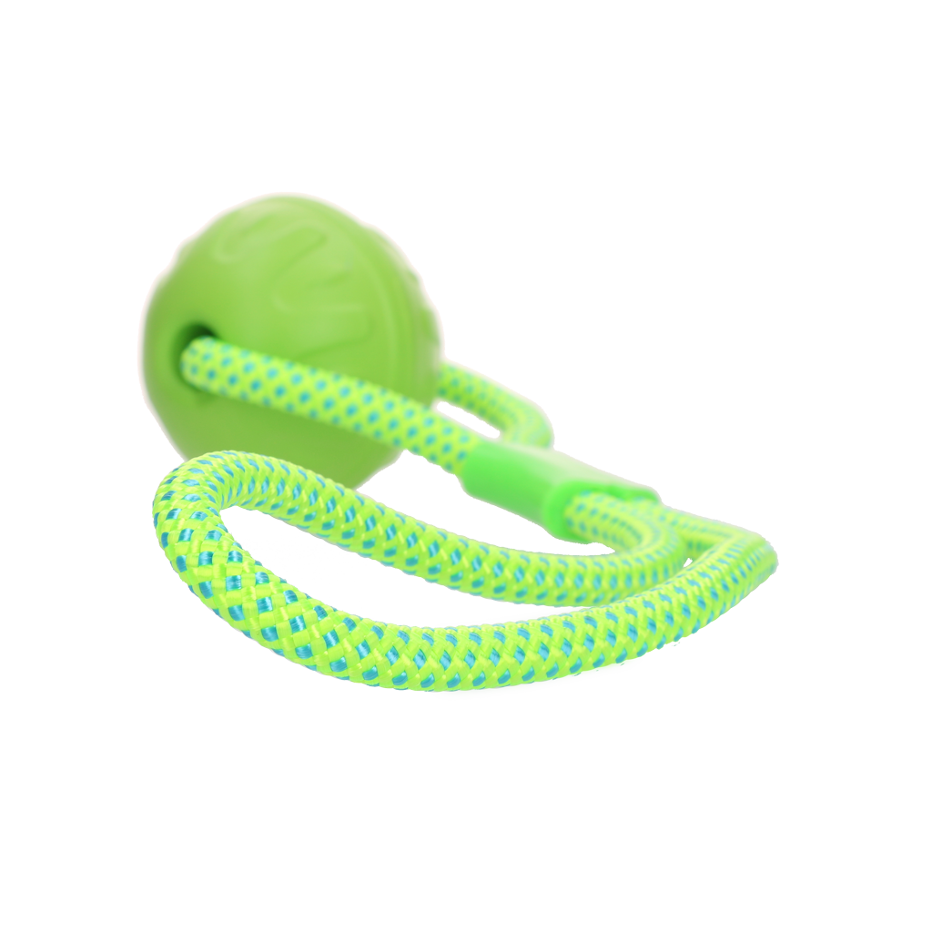 Alternative view of Dog Comets Vortex Loop Groen