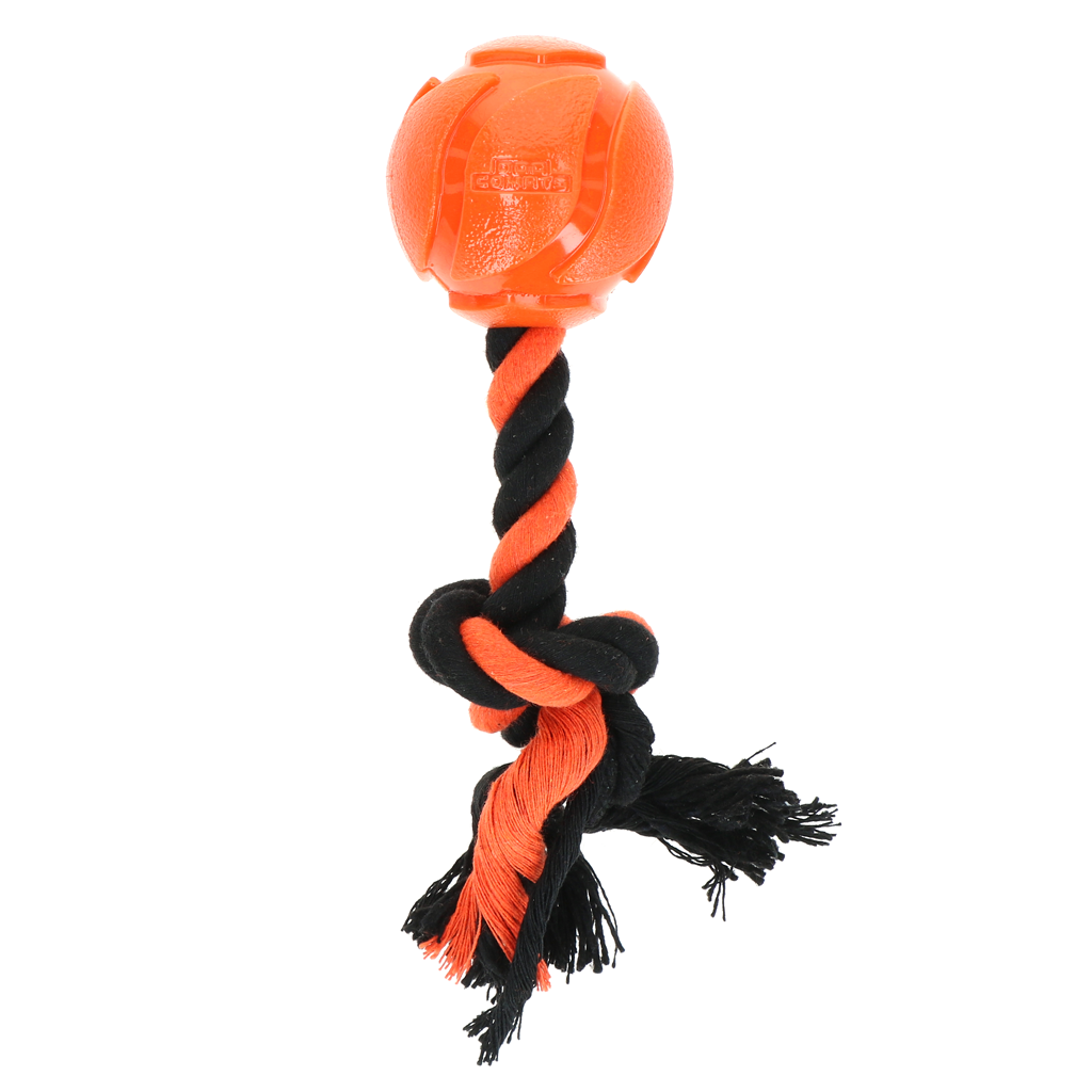 Alternative view of Dog Comets AstroTug Oranje