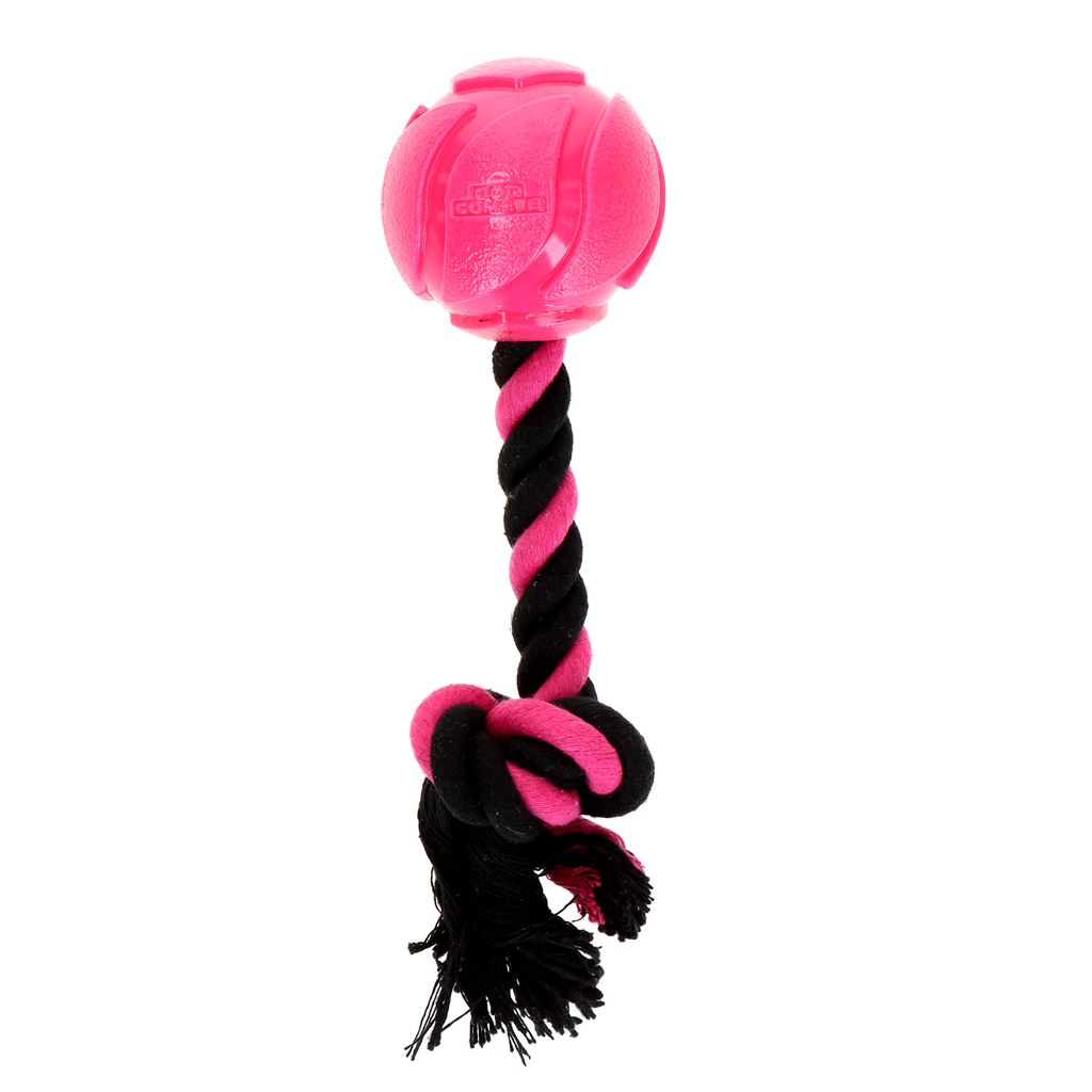Alternative view of Dog Comets AstroTug Roze