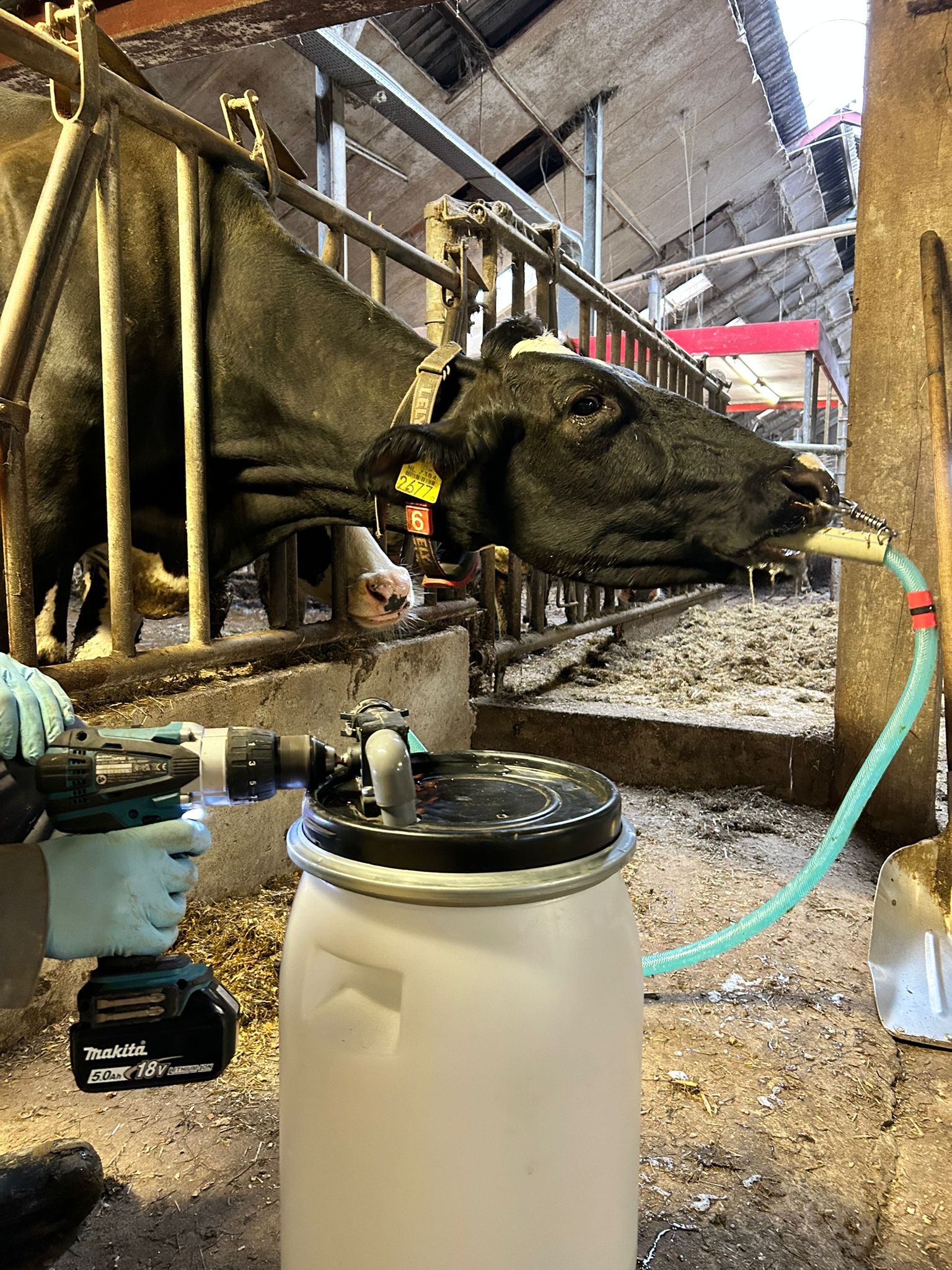 Alternative view of Excellent Cow Drencher Drill Driven