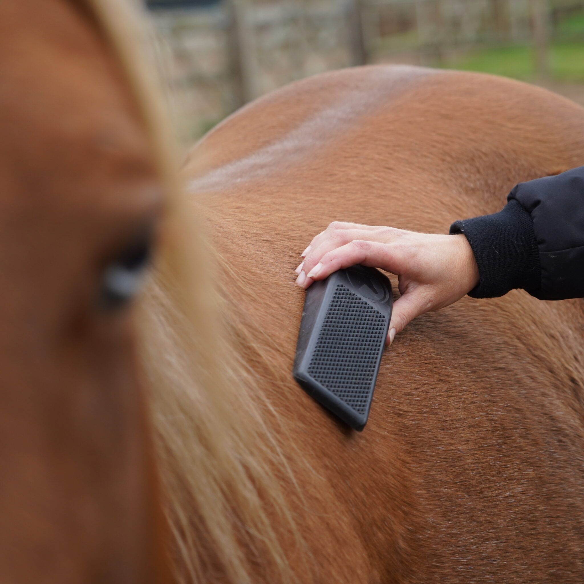 Alternative view of Package Deal Excellent Grooming Brush