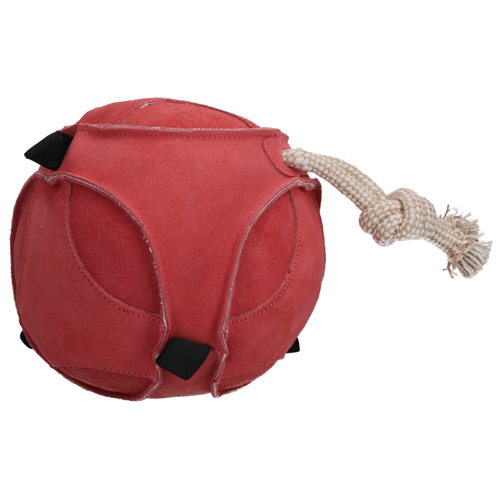 Excellent Horse Fun Play Ball Suede Roze