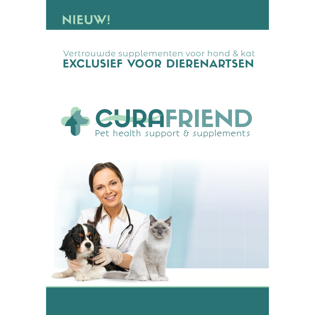 Curafriend Brochure