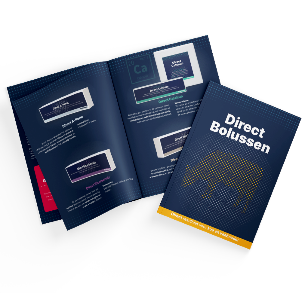 Folder Direct Bolussen NL