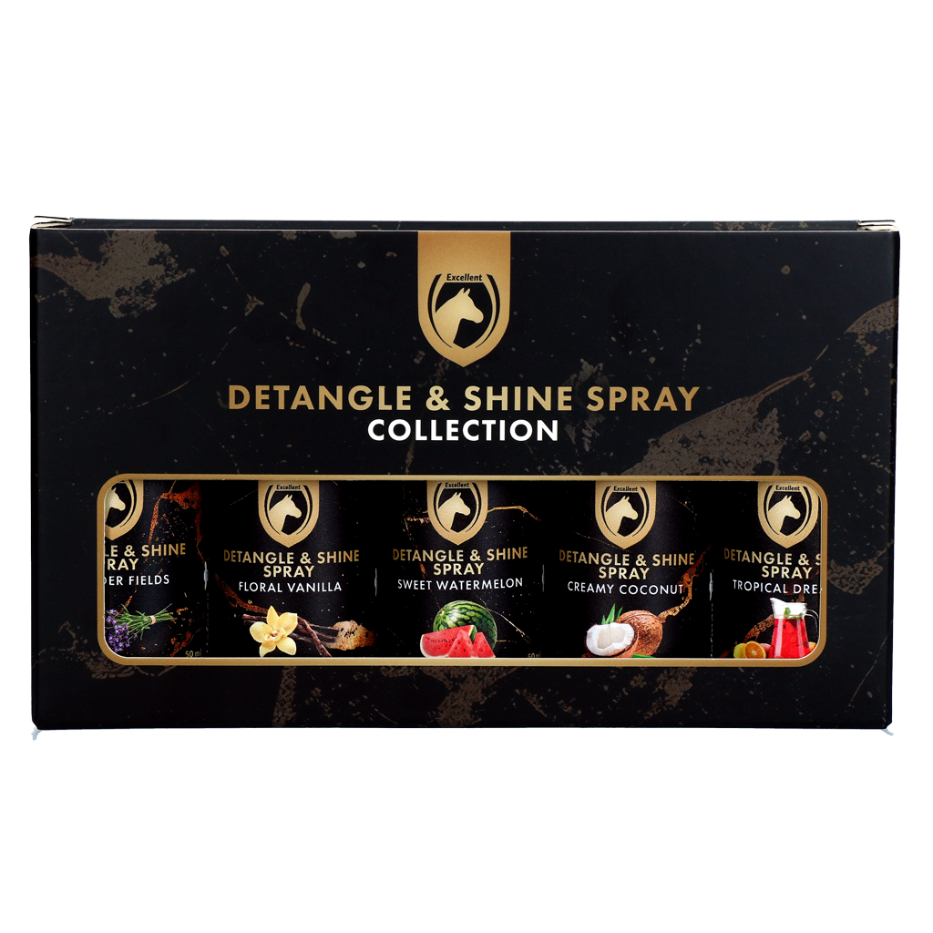 Detangle & Shine Spray Geschenkset 5 x