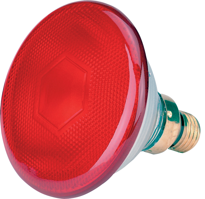 Spaarlamp 175 W - Rood