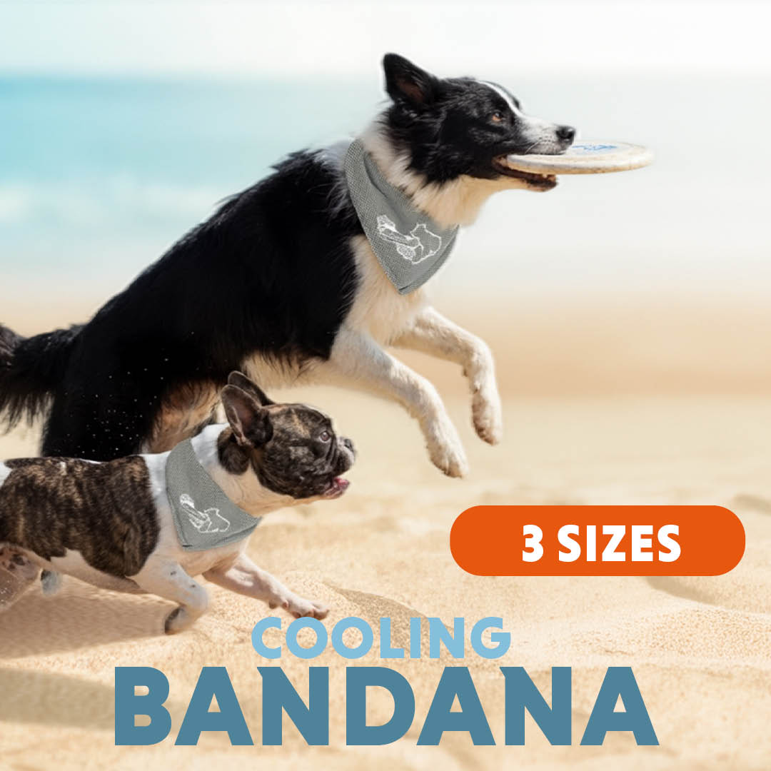 Alternative view of Coolpets Cooling Bandana Beige L