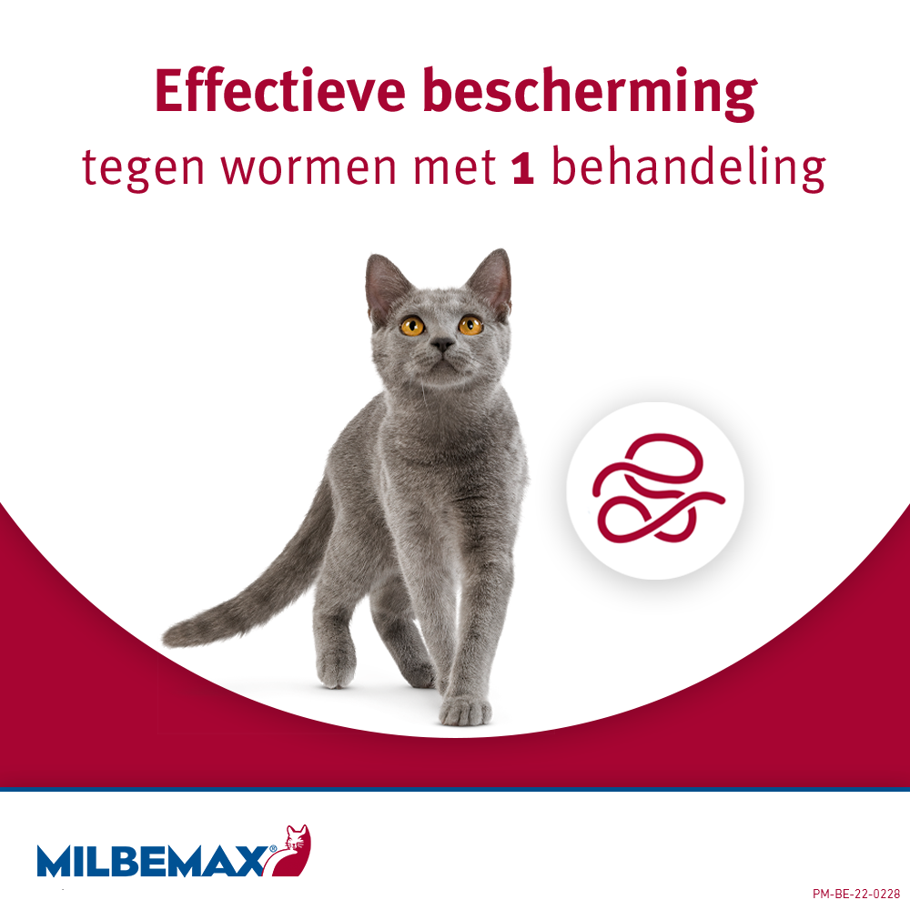 Alternative view of Milbemax Tabletten Kat Groot >2kg 2 tabl.