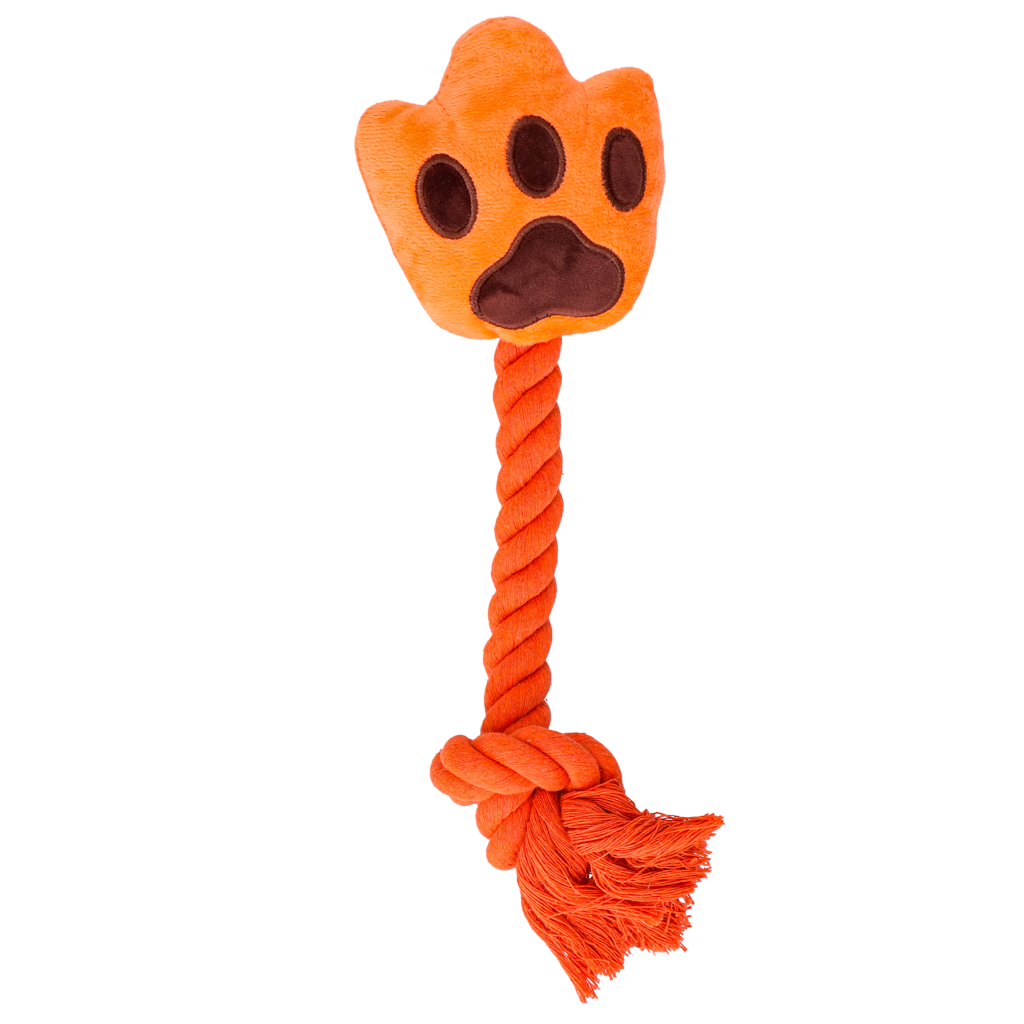 Oranje High Five