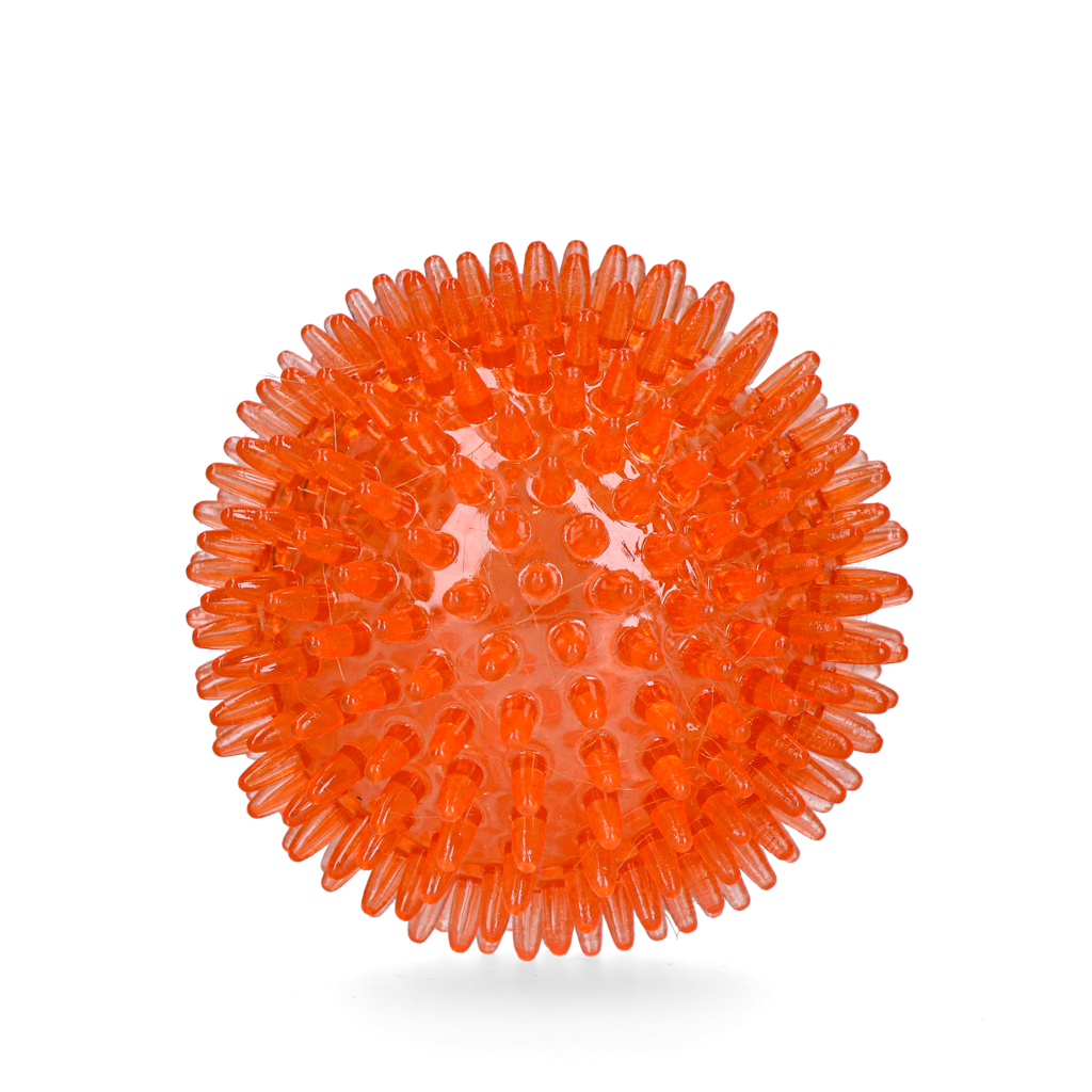 Oranje Egelbal M