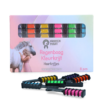 Paardenpraat Regenboog Kleurkrijt