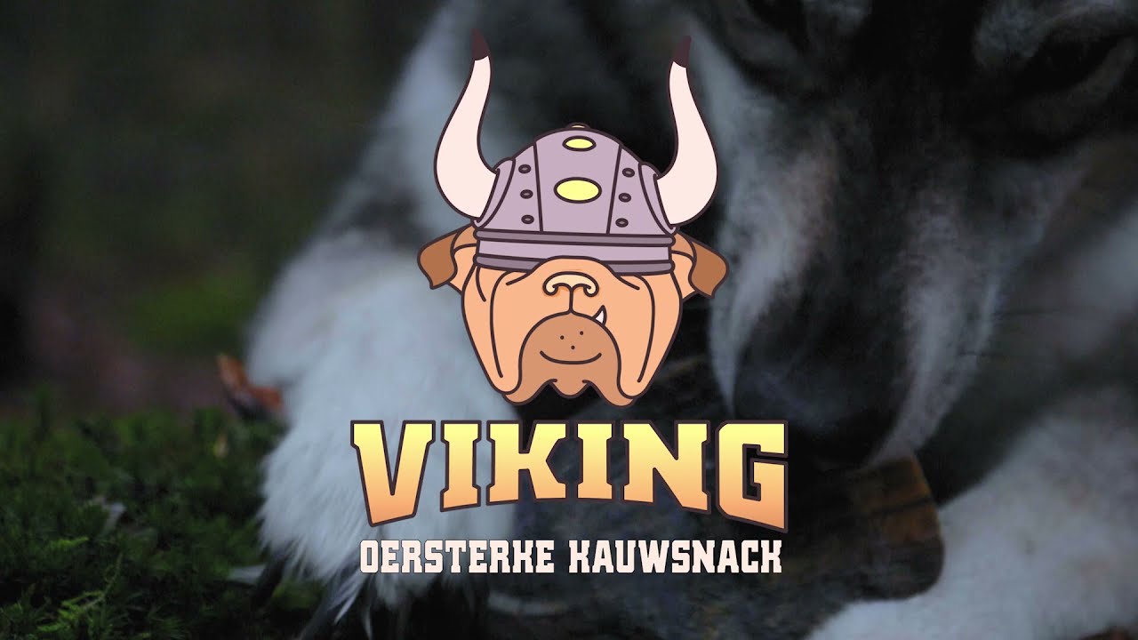 Alternative view of Viking Horn Twist M