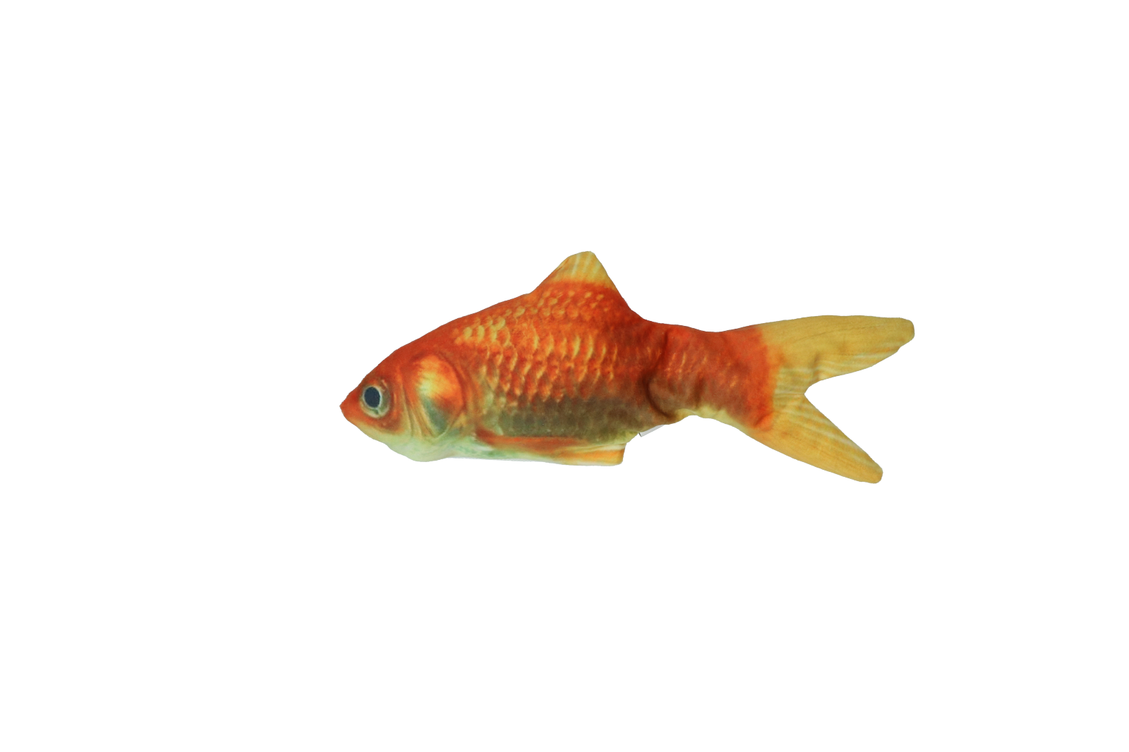 Alternative view of Robocat Goudvis