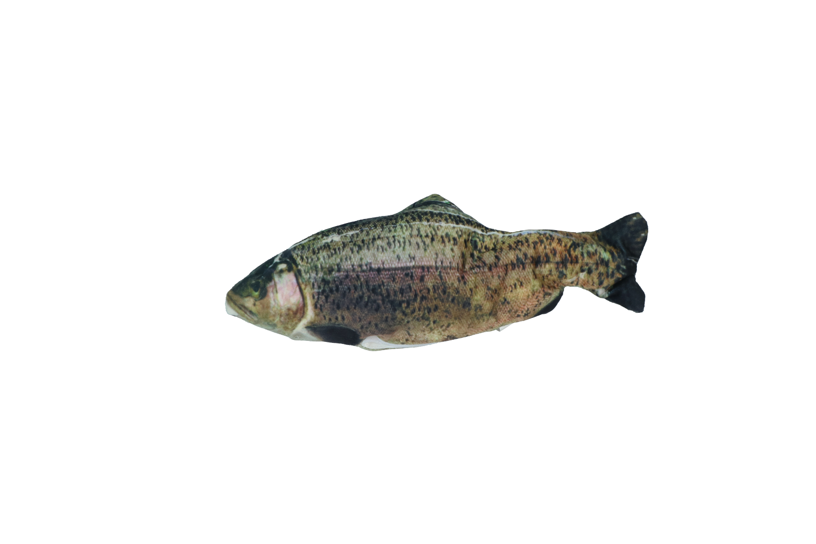 Alternative view of Robocat Forel