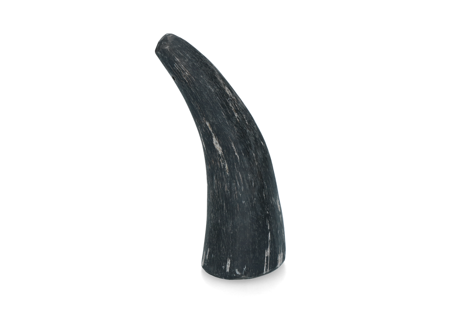 Viking Horn Whole S