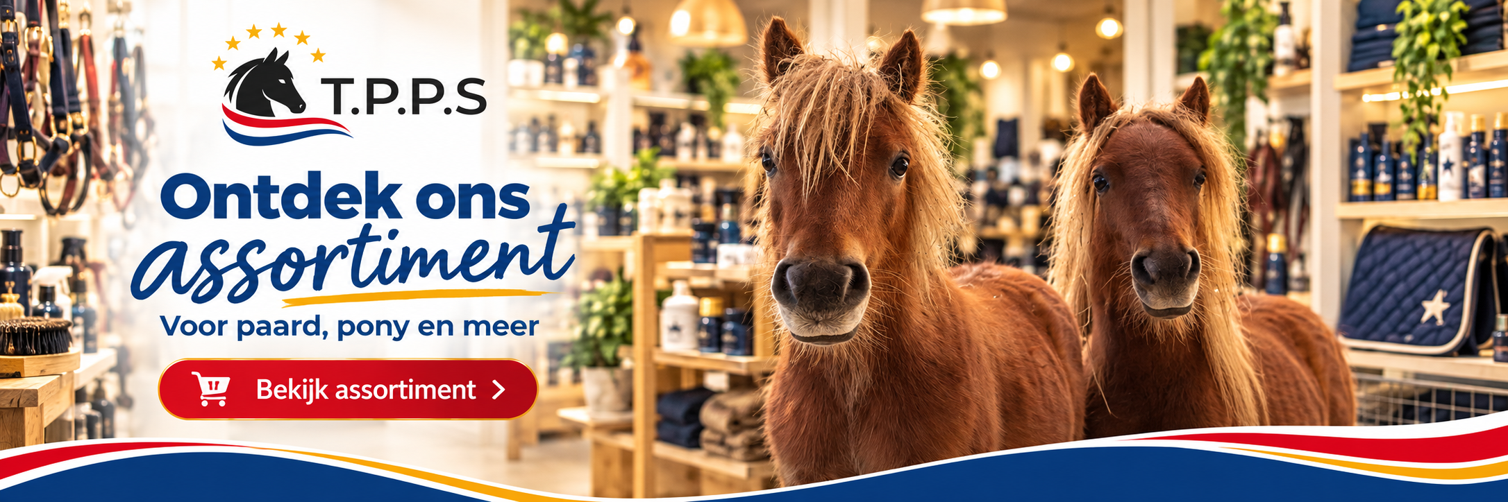 Ontdek ons assortiment – voor paard, pony en meer